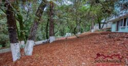 SL29 – Terreno rústico dentro de residencial