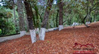 SL29 – Land for sale inside residential