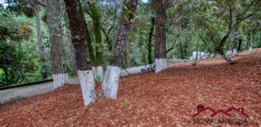 SL29 – Land for sale inside residential