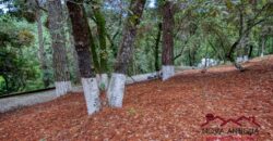 SL29 – Terreno rústico dentro de residencial