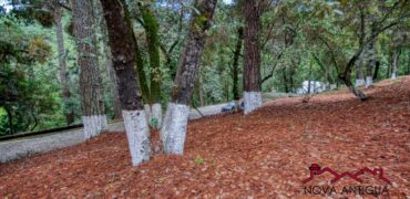 SL29 – Terreno rústico dentro de residencial