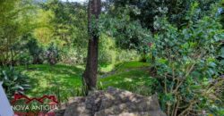 EH219 – Bonito apartamento en el area del Hato