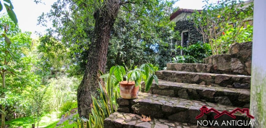 EH219- Beautiful apartment in the Hato area