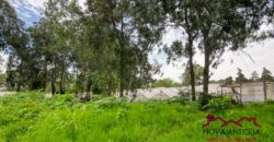 J133 – Land on totally flat road