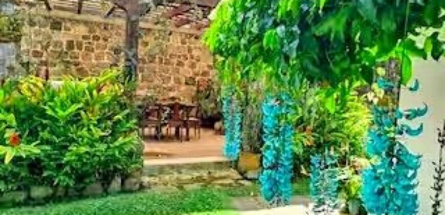 A260 – Casa en renta de 3 habitaciones amueblada.