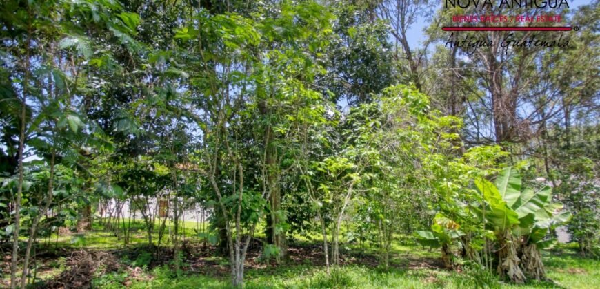 R365 – Terreno dentro de residencial carretera hacia Alotenango