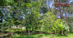 R365 – Land within a residential area on the road to Alotenango