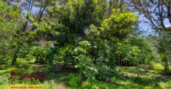 R365 – Land within a residential area on the road to Alotenango