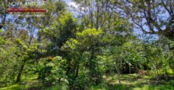R365 – Land within a residential area on the road to Alotenango