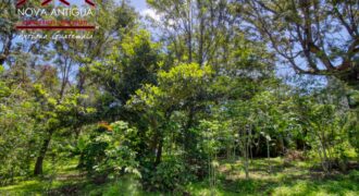 R365 – Land within a residential area on the road to Alotenango