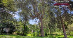 R363 – Land in Residential Antigua Gardens