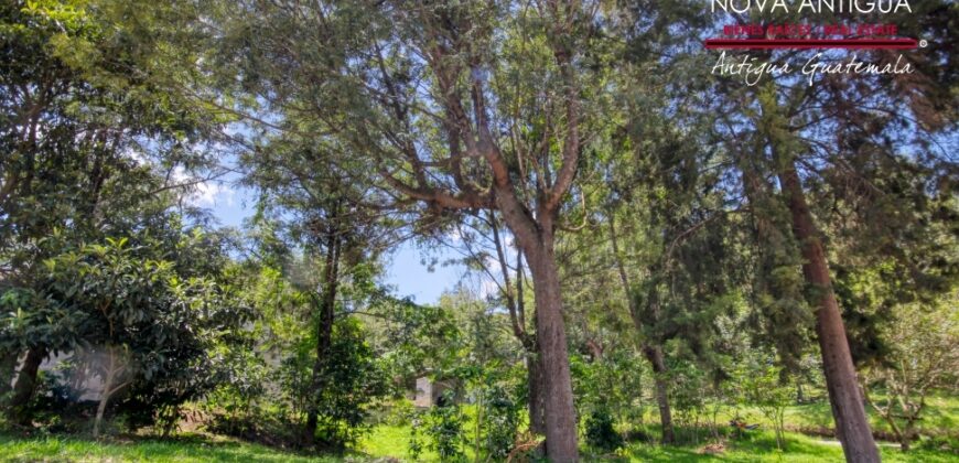 R363 – Land in Residential Antigua Gardens