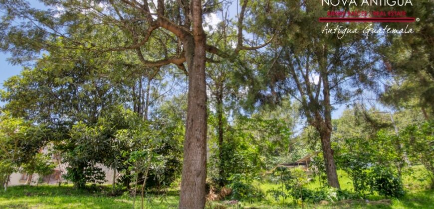 R363 – Land in Residential Antigua Gardens