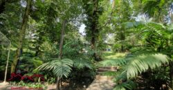 CS18 – Furnished cabin in exclusive residential area of Escuintla