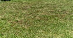 I481 – House for Rent in Barrios Coloniales Residential Community