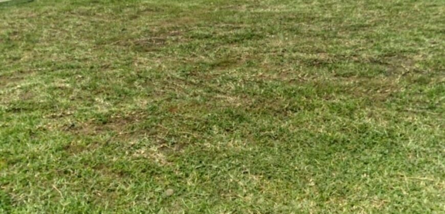 I481 – House for Rent in Barrios Coloniales Residential Community