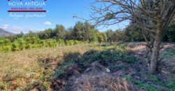 J144  – Terreno en venta en el area de Ciudad Vieja