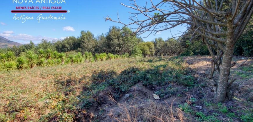 J144  – Terreno en venta en el area de Ciudad Vieja