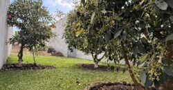 I484 – Terreno en venta en el area de San Pedro las Huertas