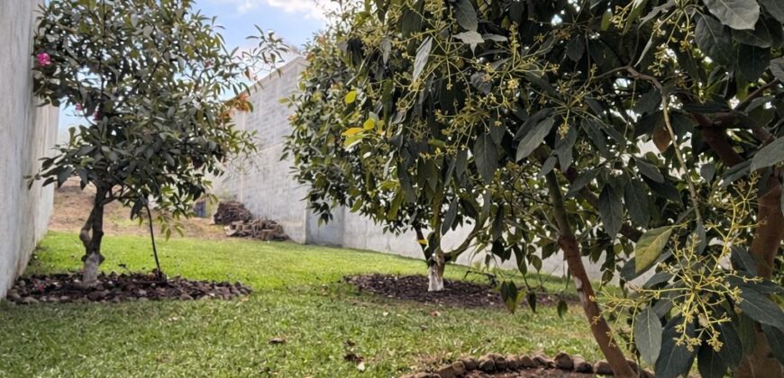 I484 – Terreno en venta en el area de San Pedro las Huertas