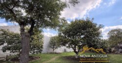 I484 – Terreno en venta en el area de San Pedro las Huertas