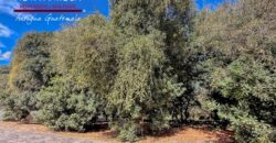 T451 – Land for sale in residential area