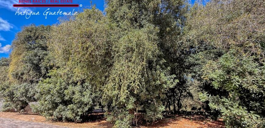 T451 – Land for sale in residential area