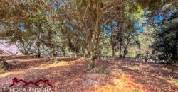 T451 – Land for sale in residential area