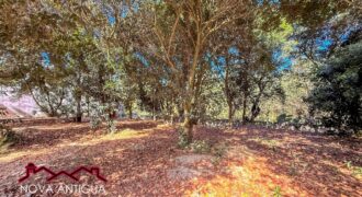 T451 – Land for sale in residential area