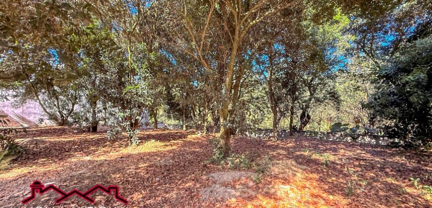 T451 – Land for sale in residential area