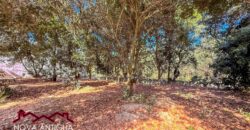 T451 – Terreno plano en condominio