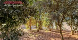 T451 – Land for sale in residential area