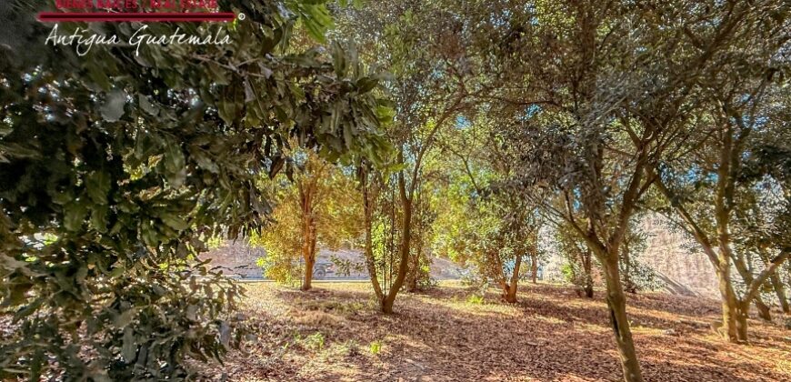 T451 – Terreno plano en condominio