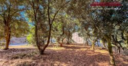 T451 – Land for sale in residential area