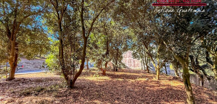 T451 – Land for sale in residential area