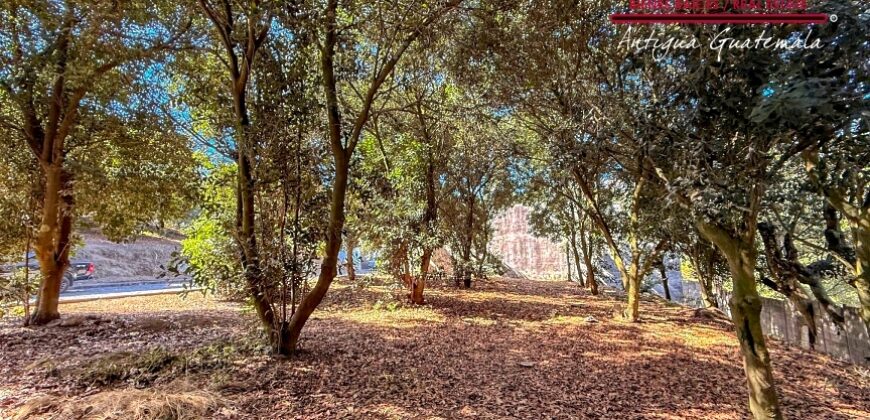 T451 – Terreno plano en condominio