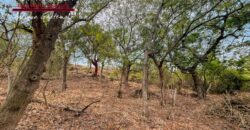 J149 – Terrenos en venta en el area de Ciudad Vieja