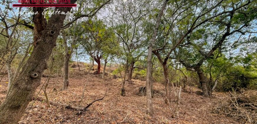 J149 – Terrenos en venta en el area de Ciudad Vieja
