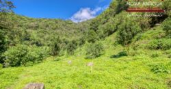 T452 – FINCA EL RINCÓN for sale – San Miguel Dueñas, Sacatepéquez