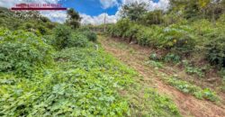 J150 – Terreno en venta en el area de Ciudad Vieja