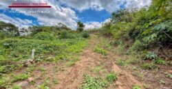 J150 – Land for sale in the Old City area