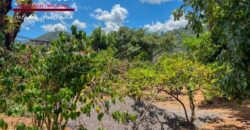 Q35 – Corner lot in the San Juan del Obispo area