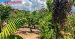 Q35 – Corner lot in the San Juan del Obispo area
