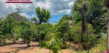 Q35 – Corner lot in the San Juan del Obispo area