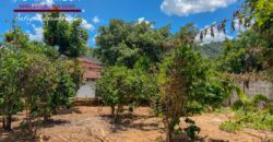 Q35 – Corner lot in the San Juan del Obispo area