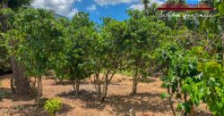 Q35 – Corner lot in the San Juan del Obispo area