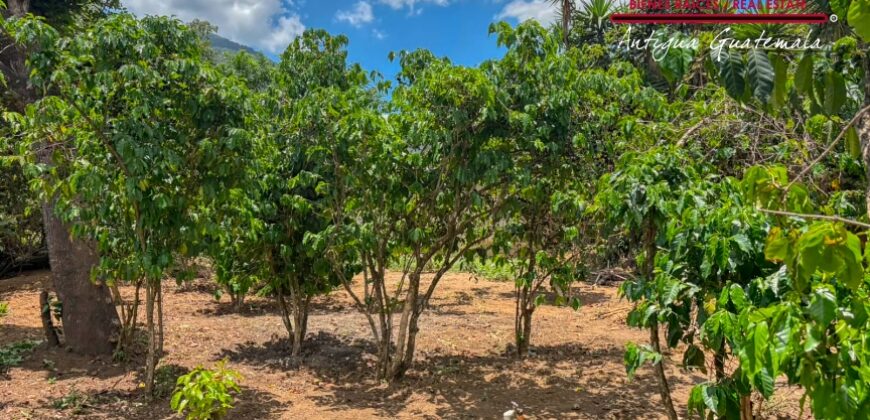 Q35 – Corner lot in the San Juan del Obispo area