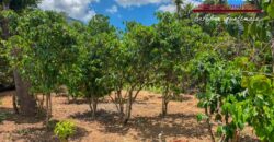 Q35 – Terreno de esquina en el area de San Juan del Obispo
