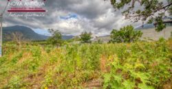 I486 – Land for sale in San Pedro las Huertas, outside a gated community.