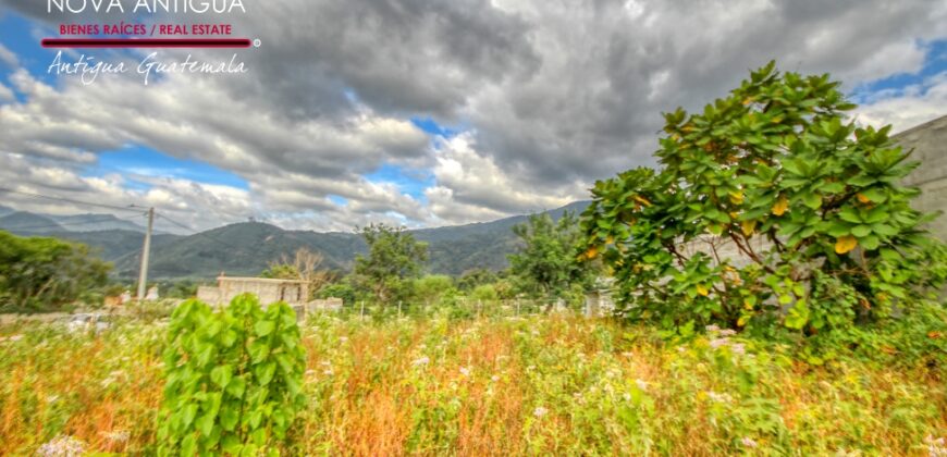 I486 – Land for sale in San Pedro las Huertas, outside a gated community.